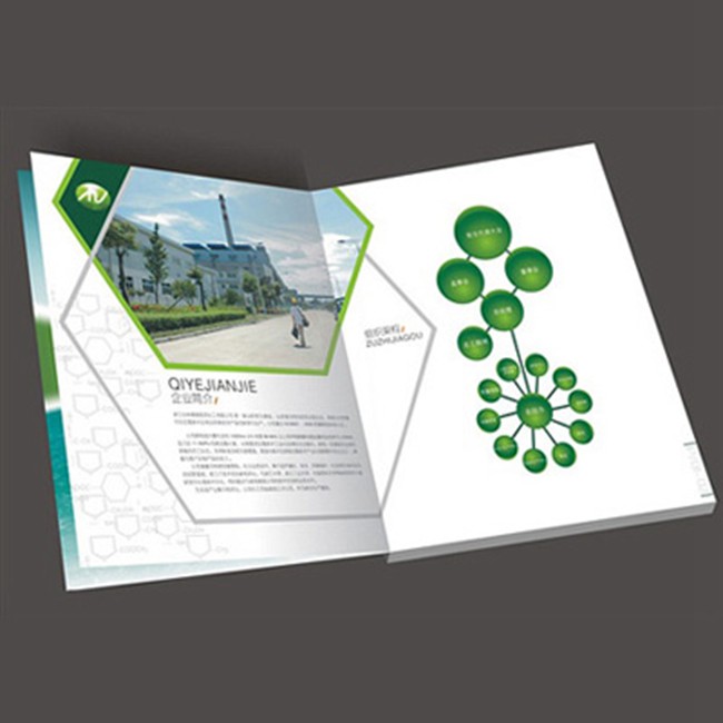 宣传画册 (5)